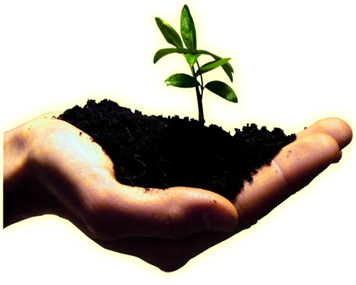 Sustentabilidade madeireira turmalina